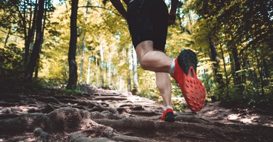 Trail running for beginners