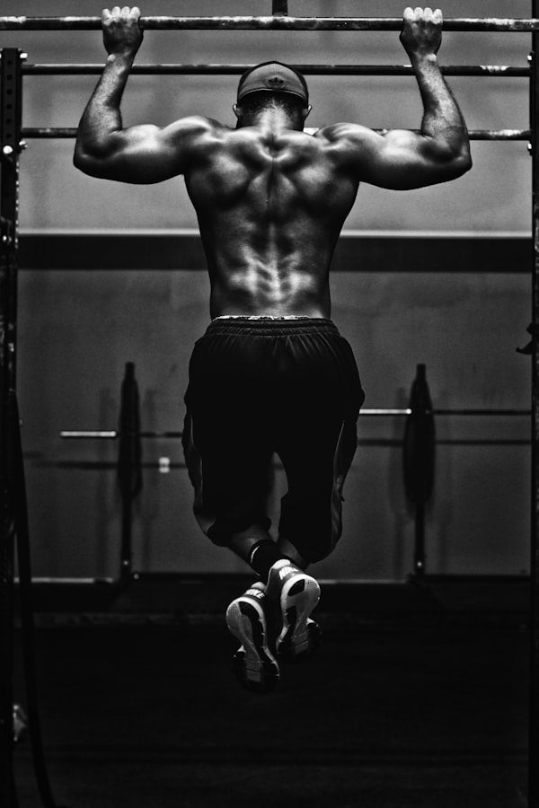 12 weeks of Creapure creatine: 1RM numbers, DEXA, and the honest verdict