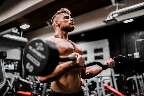 Creatine, 1RM testing, and a DEXA: 12 weeks of honest numbers