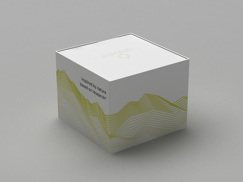 Chit Block – Unived